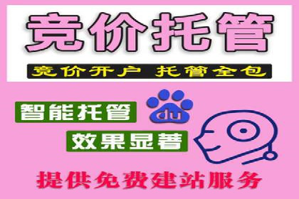 SEO与SEM服务结合的实战案例